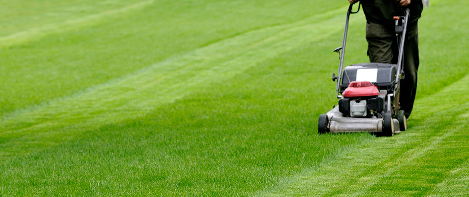 3 HUGE Lawn Mowing Mistakes to Avoid | Lawn Works